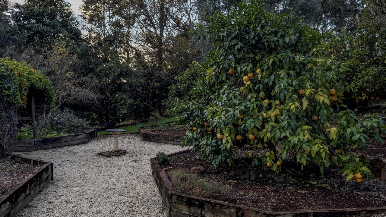 Photo of Outdoor in Grose Vale