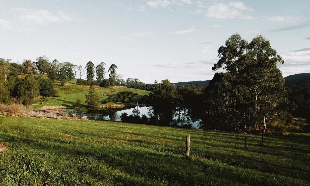 Photo of Others in Grose Vale