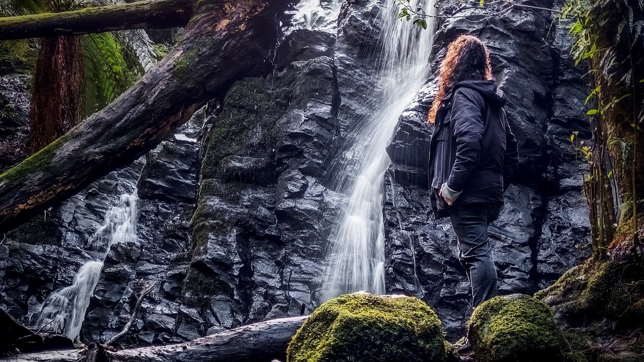 Photo of Others in Grose Vale
