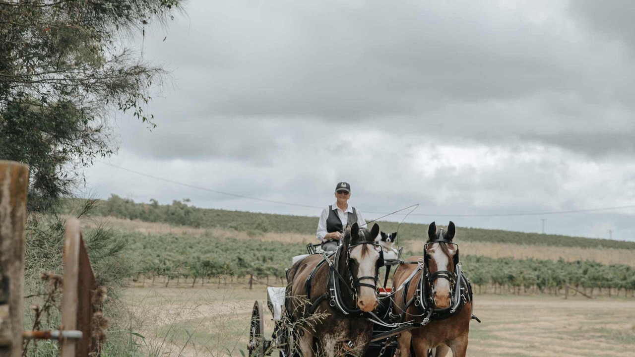 Photo of Others in Pokolbin