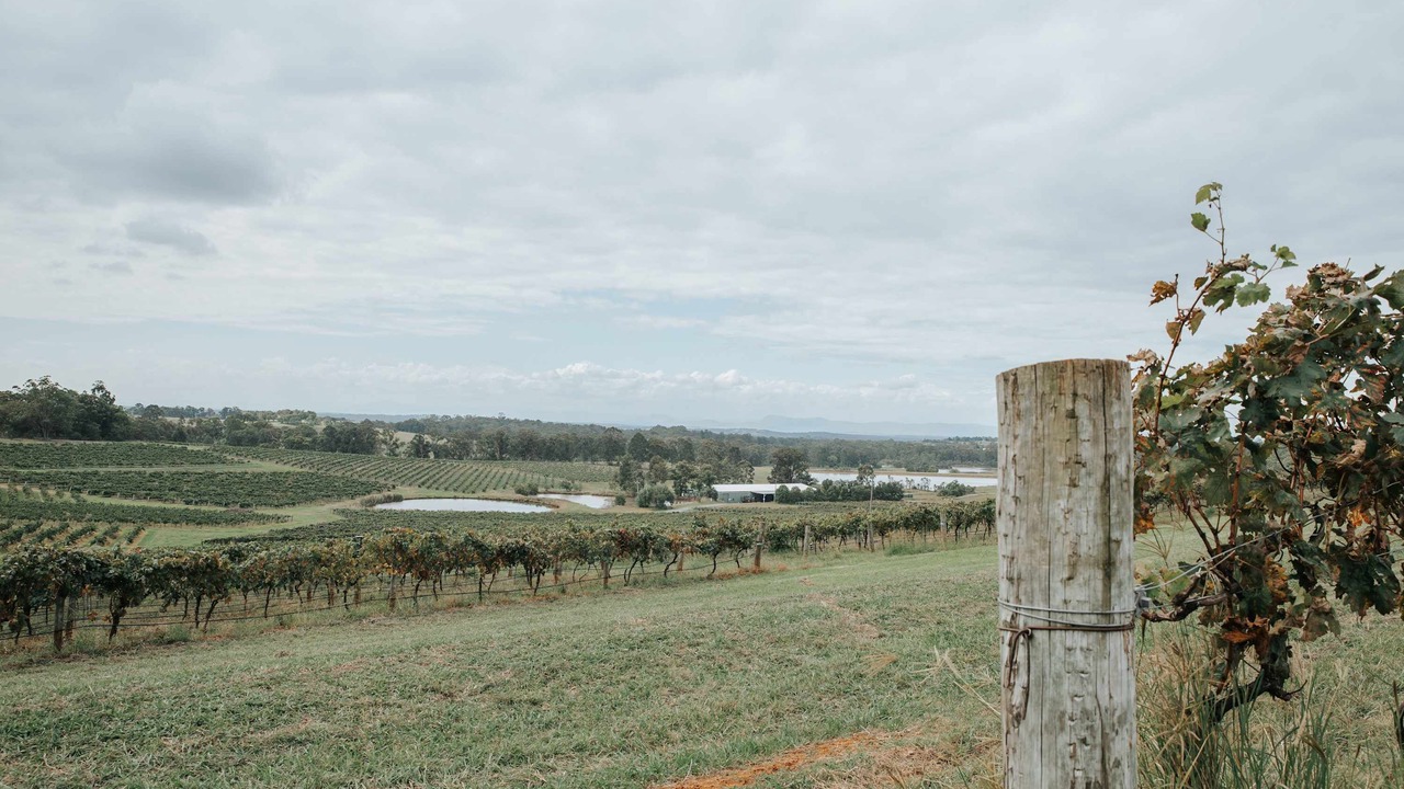 Photo of Others in Pokolbin