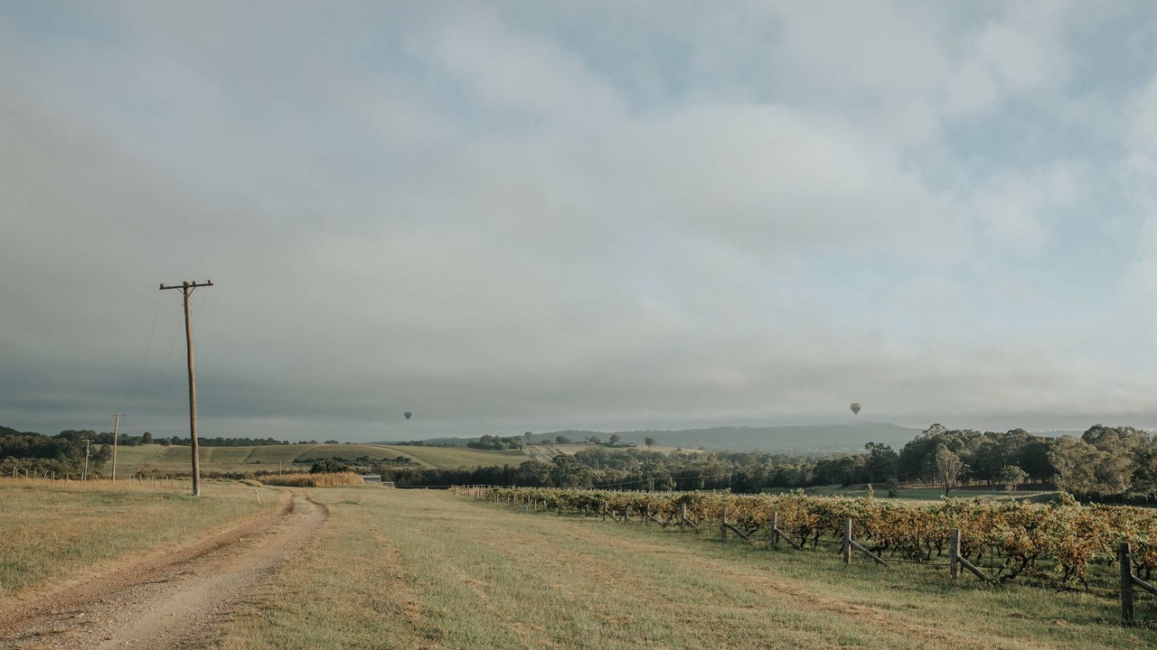 Photo of Others in Pokolbin