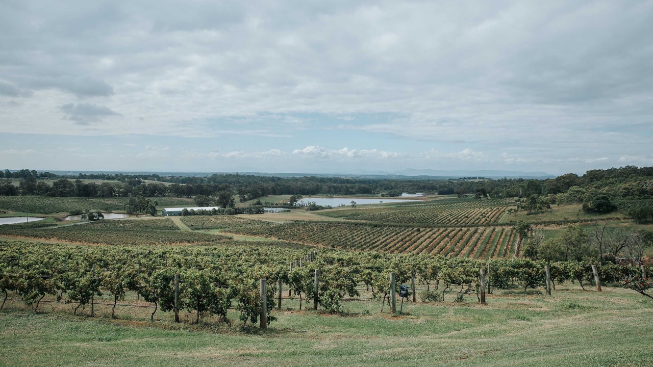 Photo of Others in Pokolbin