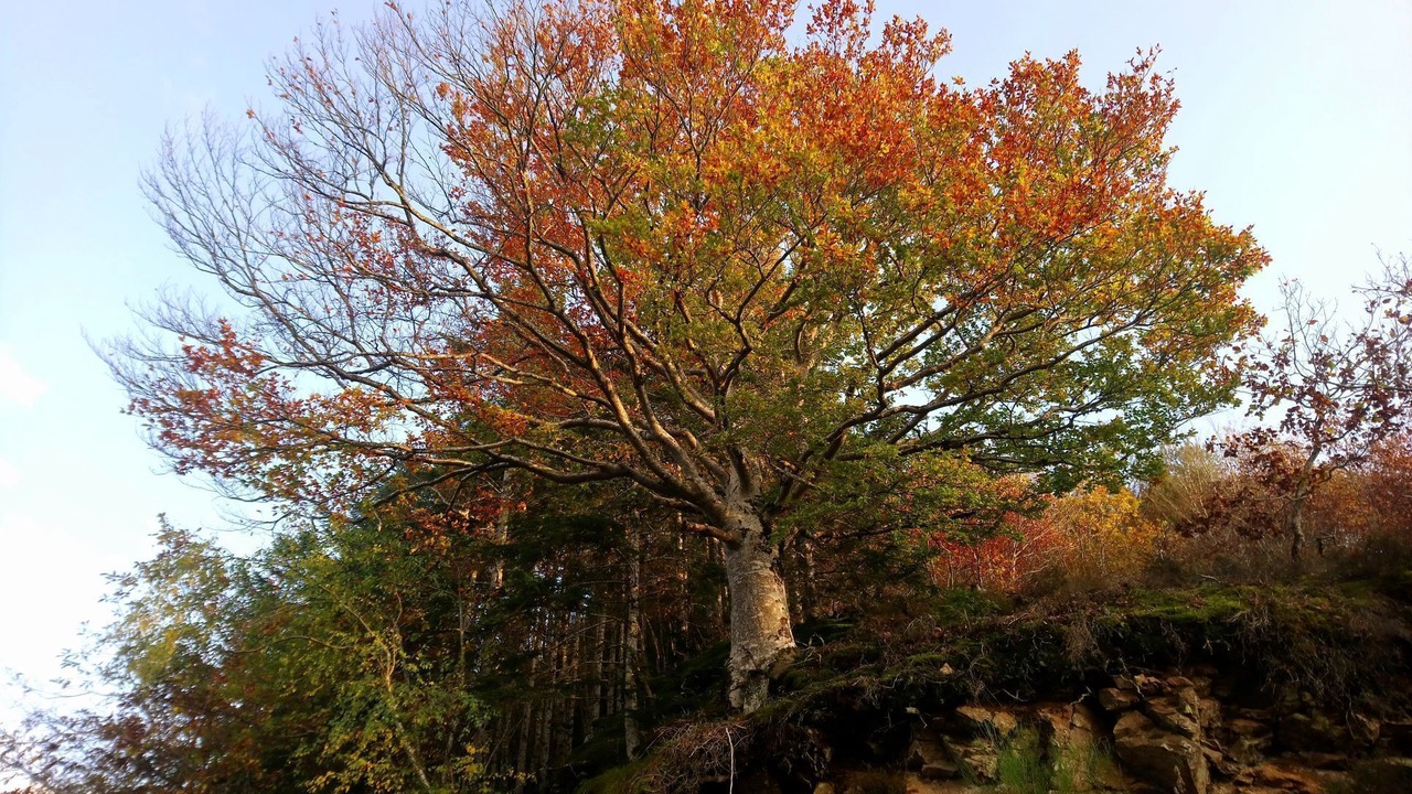Photo of Outdoor in Bromont