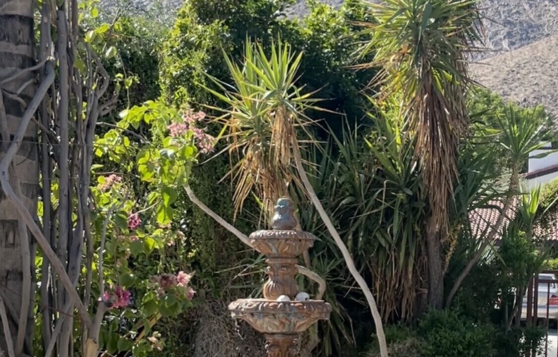 Photo of Outdoor in Historic Tennis Club