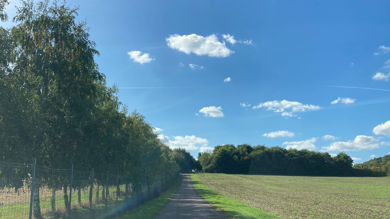 Photo of Others in Venizy