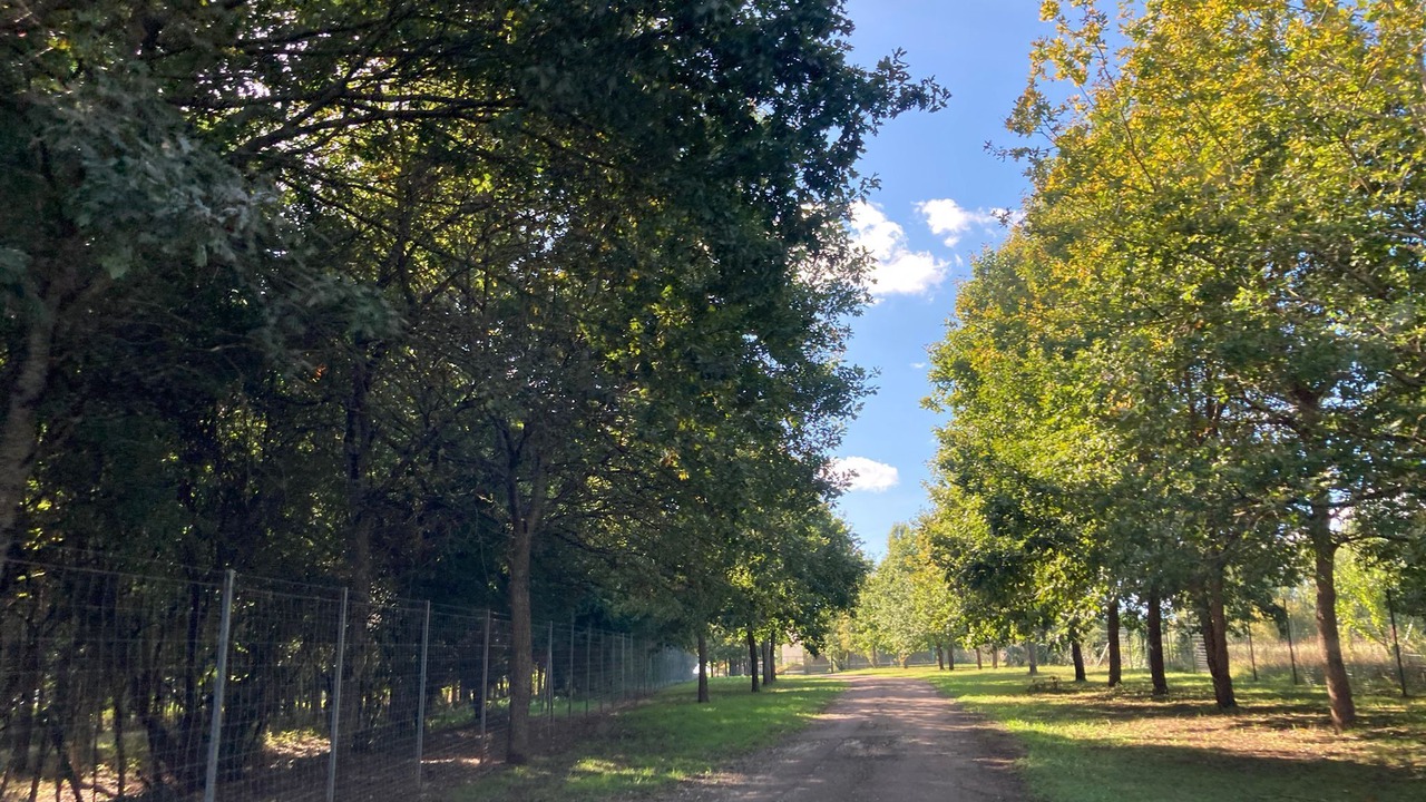 Photo of Others in Venizy