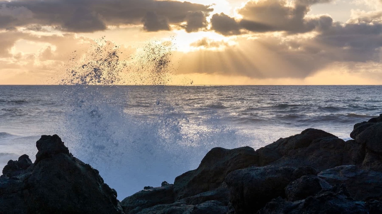 Photo of Others in Depoe Bay