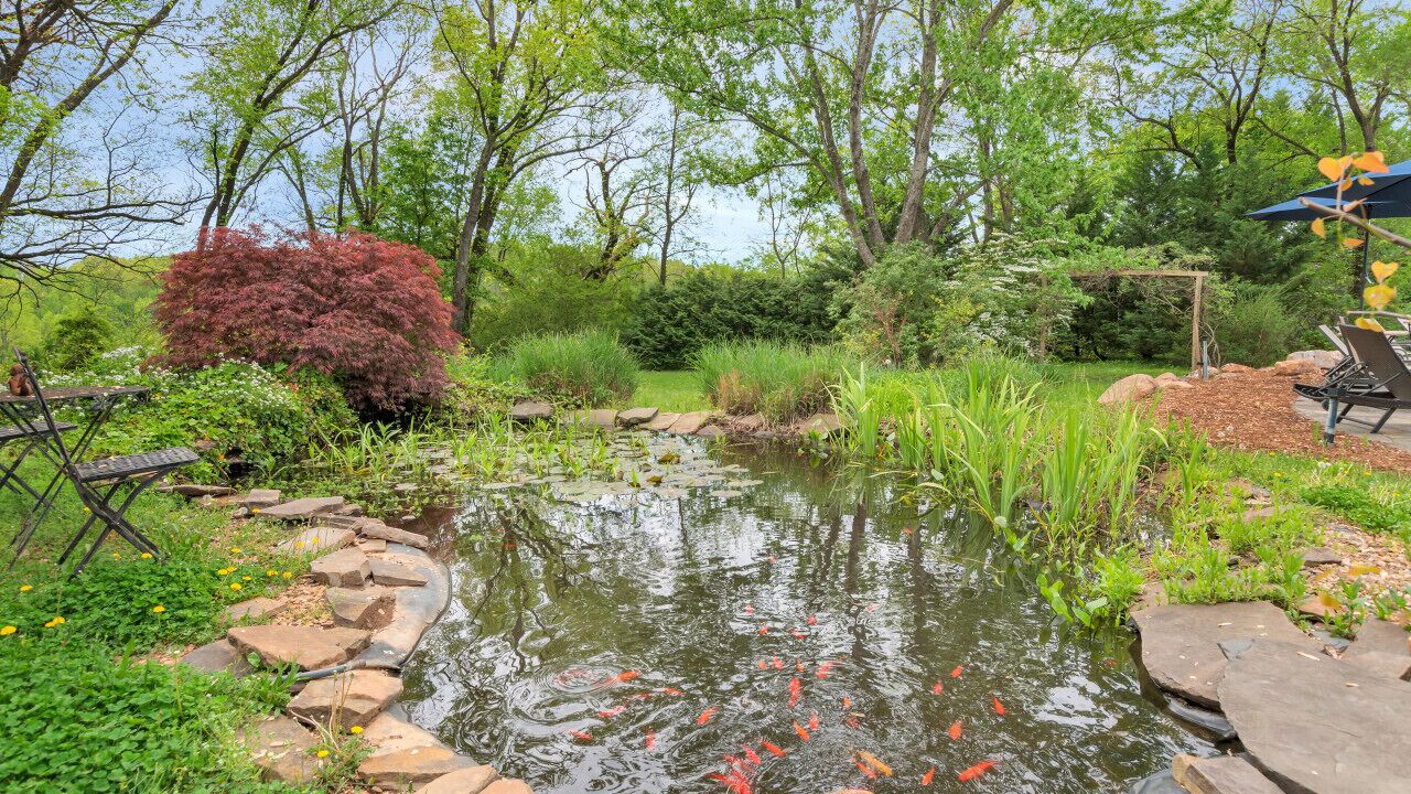 Photo of Outdoor in Nelson