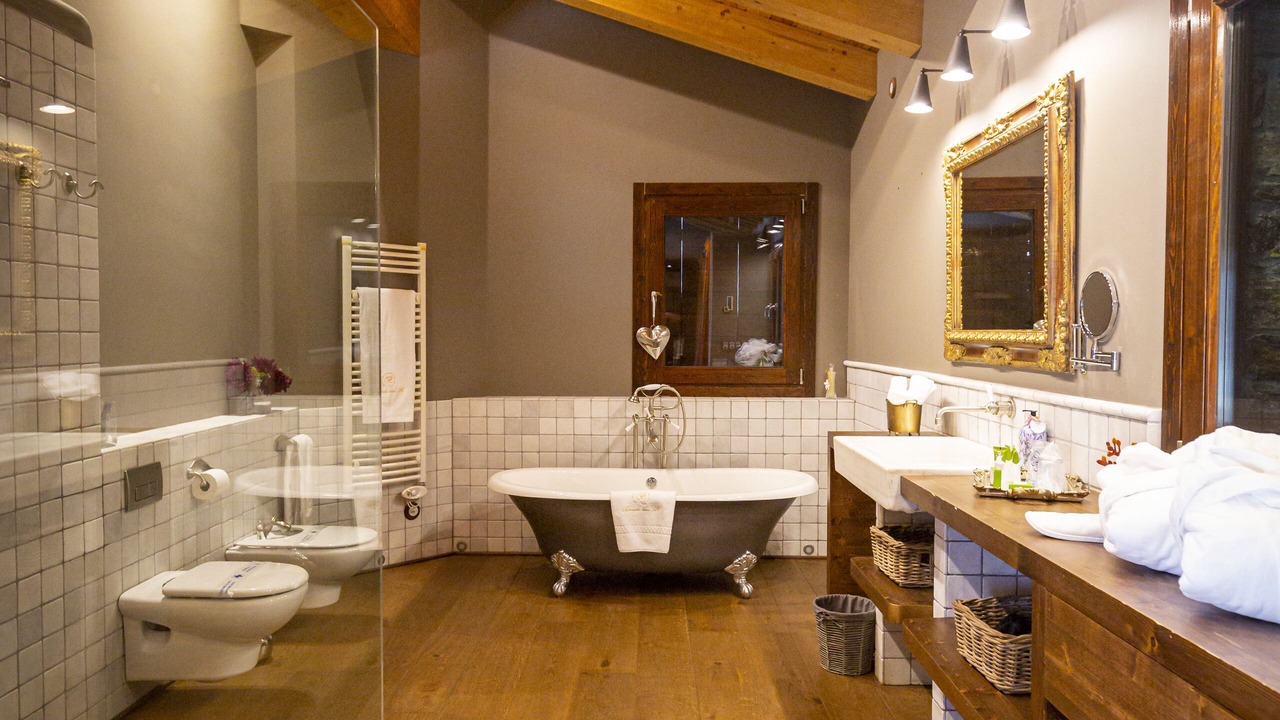 Photo of Bathroom in Canillo