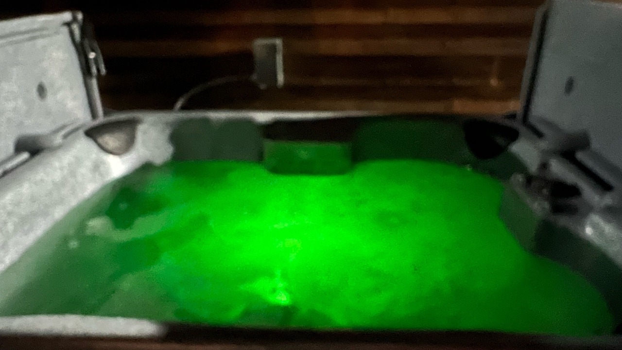 Photo of Others in Bryant