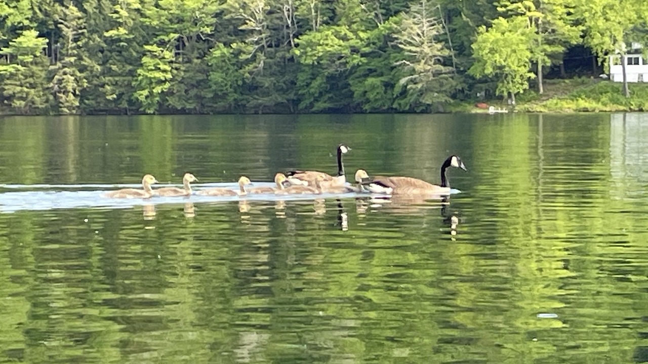 Photo of Others in West Glens Falls