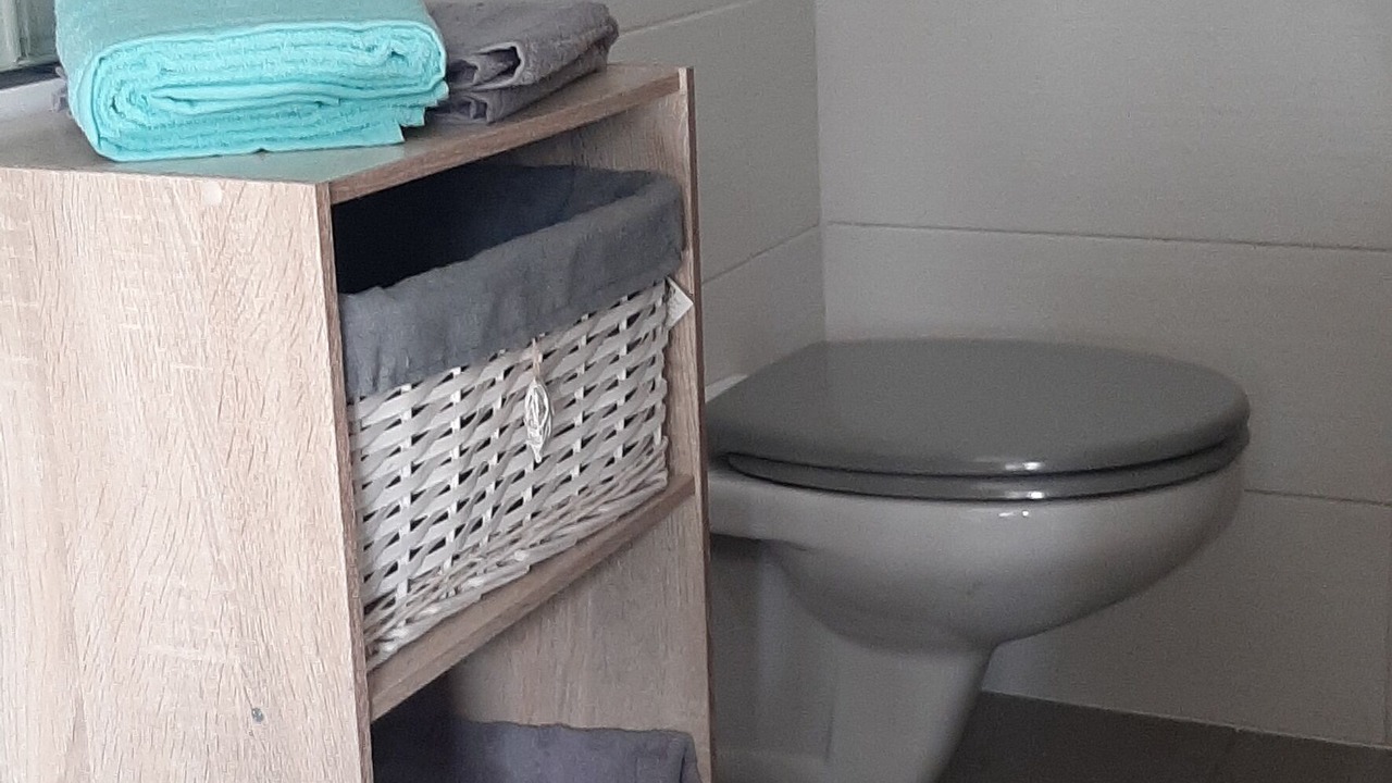 Photo of Bathroom in Dingy-Saint-Clair