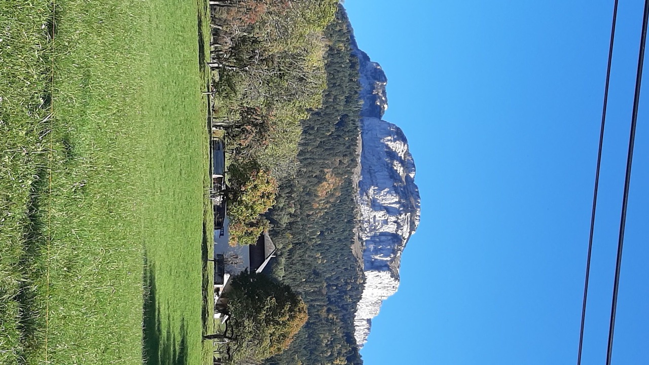 Photo of Others in Dingy-Saint-Clair