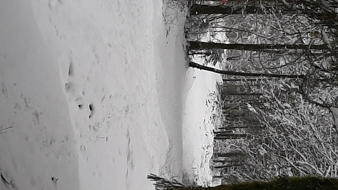 Photo of Others in Dingy-Saint-Clair