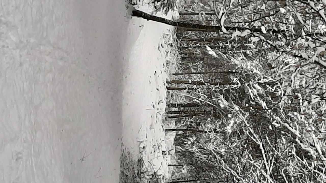 Photo of Bathroom in Dingy-Saint-Clair