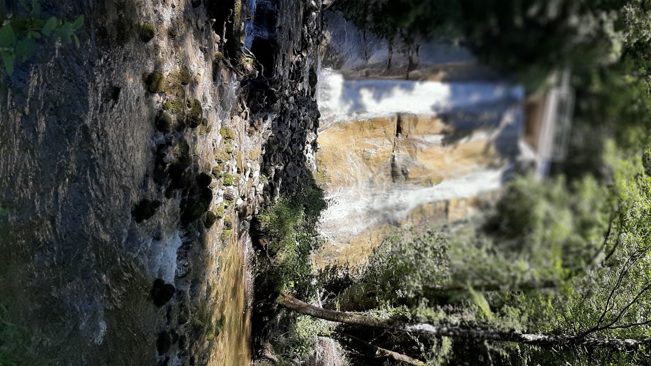 Photo of Others in Dingy-Saint-Clair