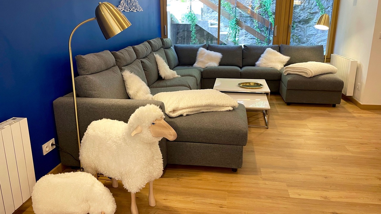 Photo of Livingroom in Cauterets
