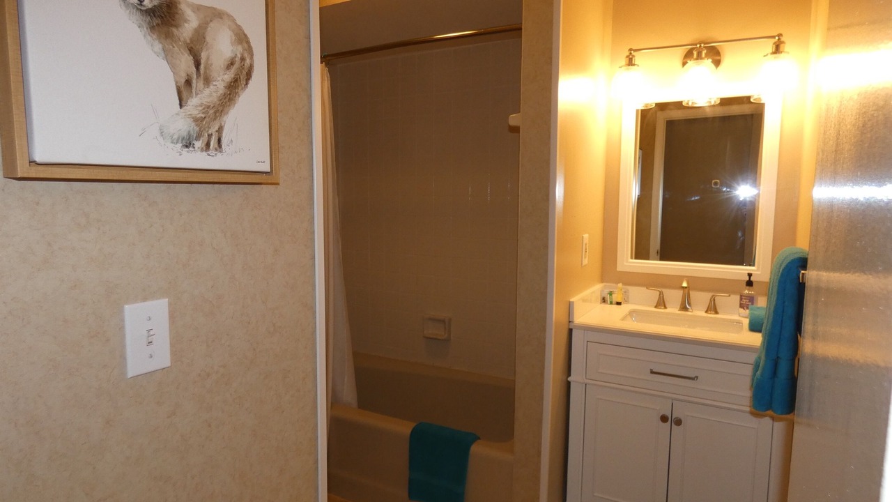 Photo of Bathroom in Bellaire