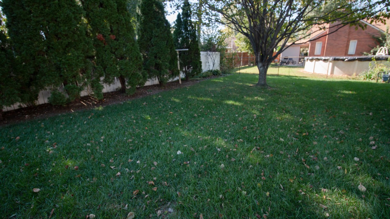 Photo of Outdoor in Owensboro