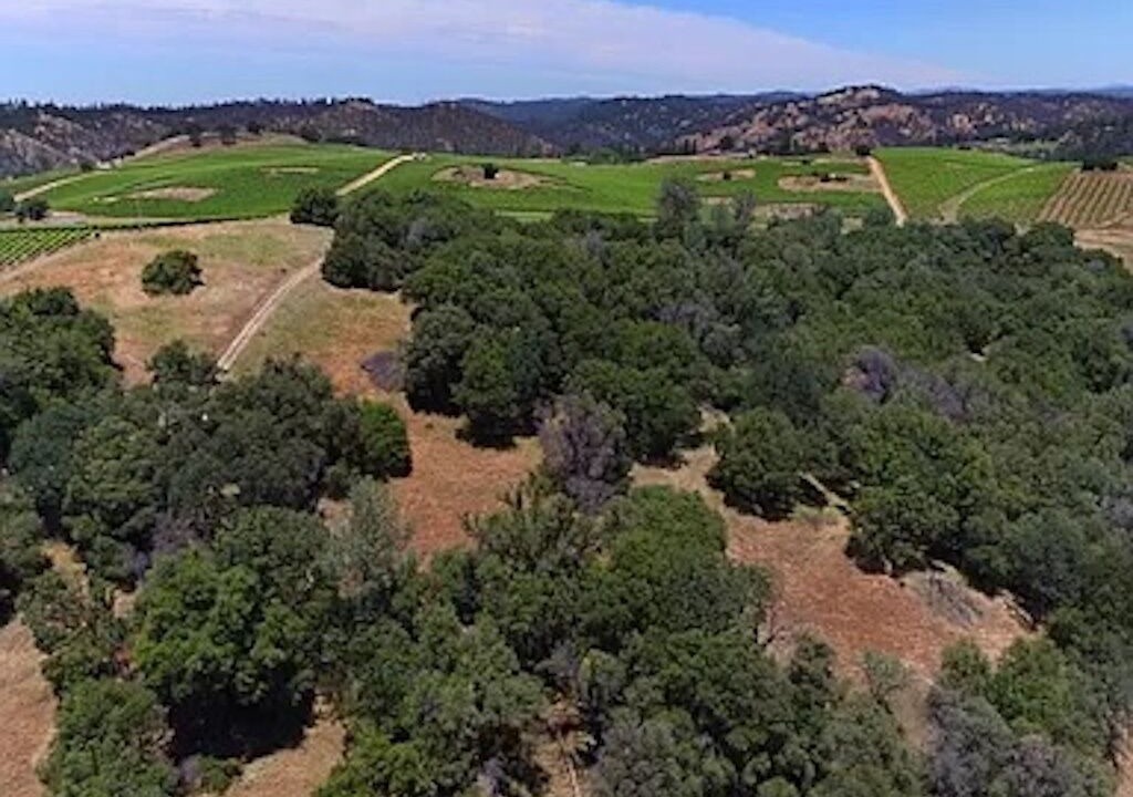 Photo of Outdoor in Shenandoah Valley