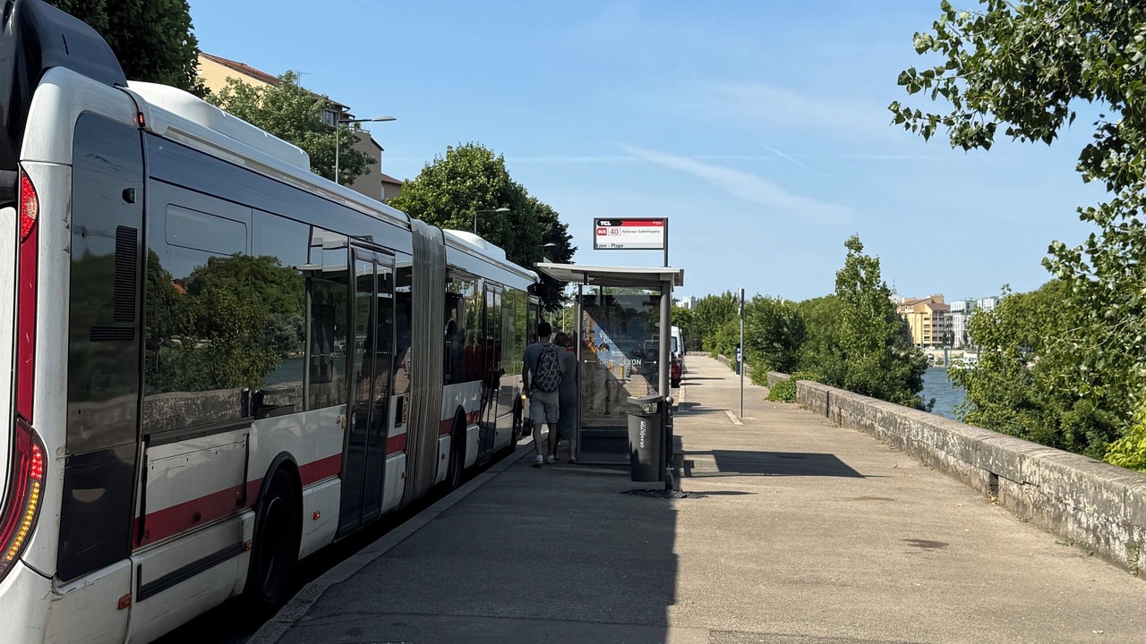 Photo of Others in Serin