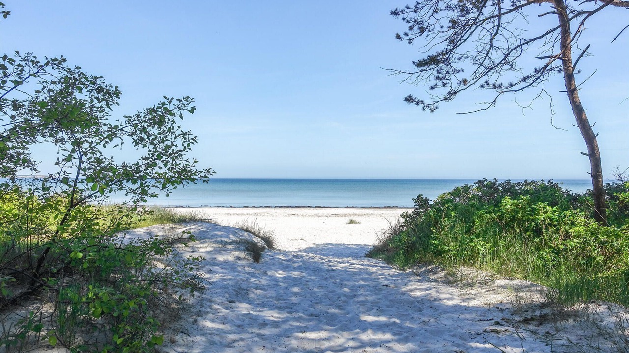 Photo of Others in Balka Strand