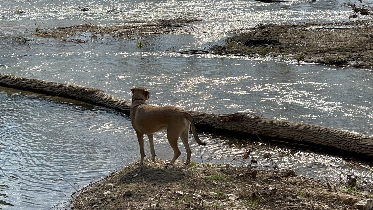 Photo of Others in West Siloam Springs