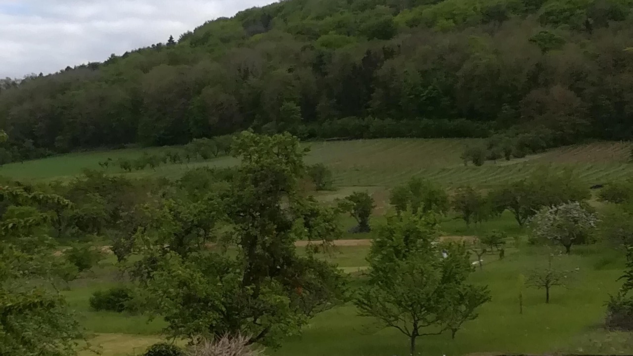 Photo of Others in Bouvron