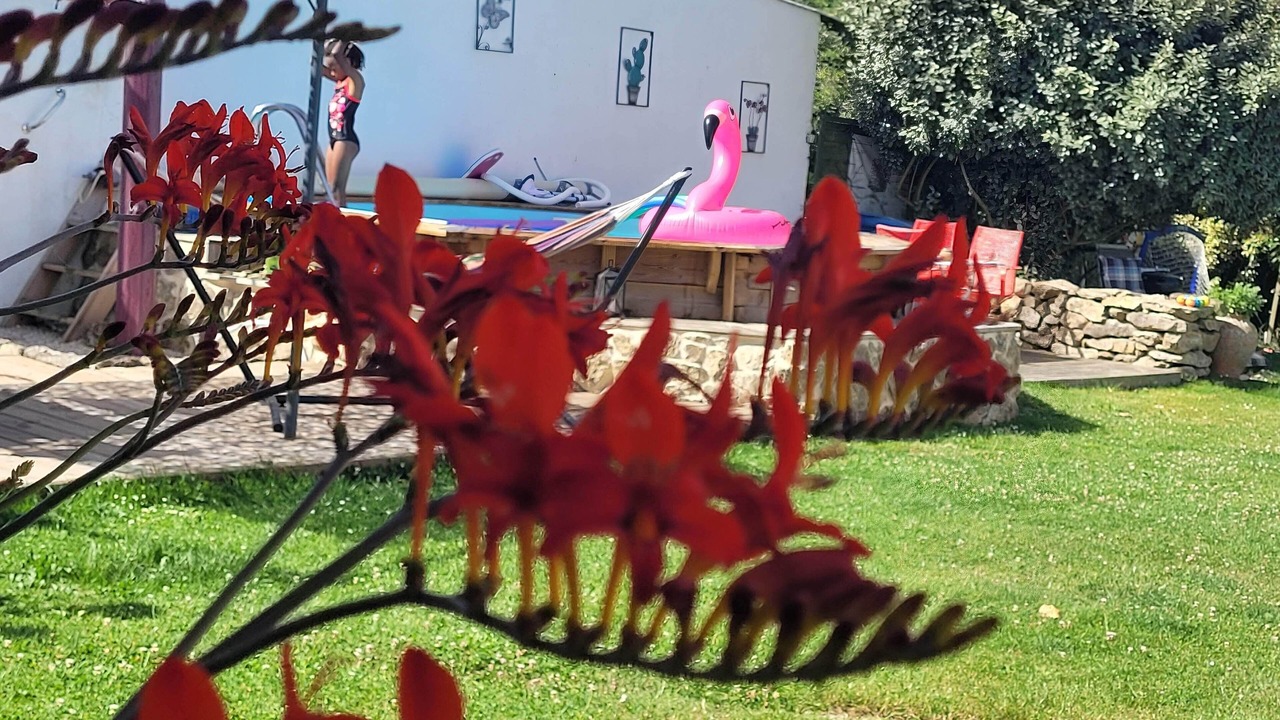 Photo of Outdoor in Le Poire-sur-Vie