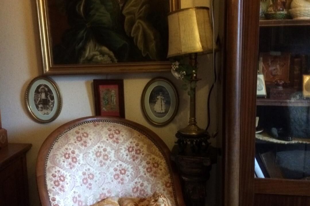 Photo of Others in Les Longs Champs