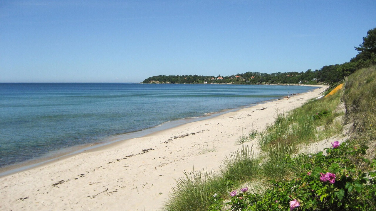 Photo of Others in Ronne