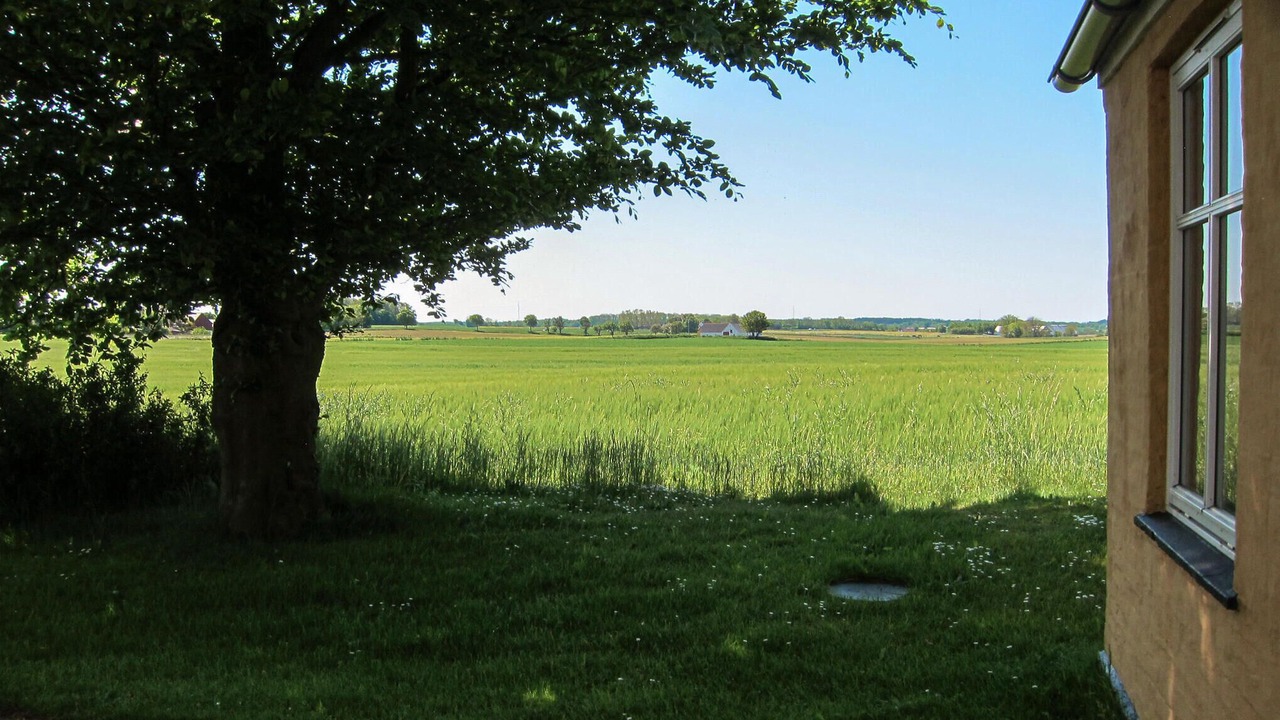 Photo of Others in Gudhjem