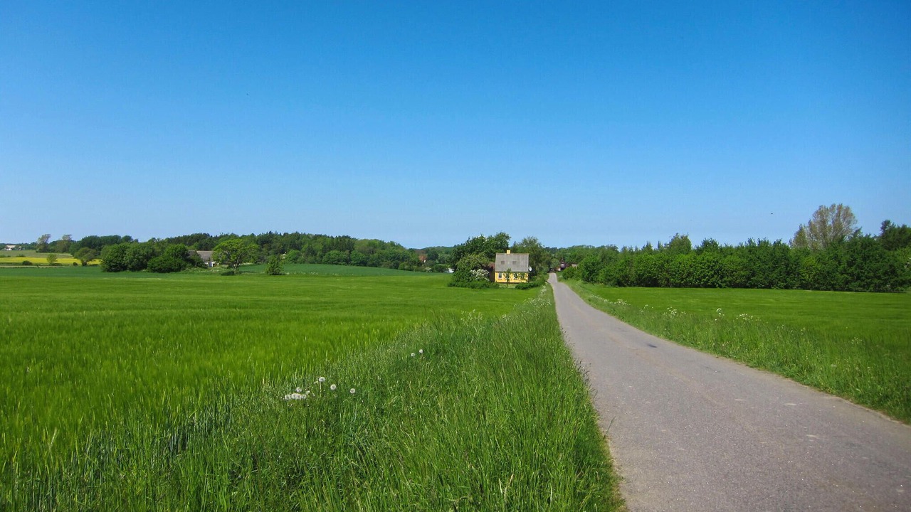 Photo of Others in Gudhjem