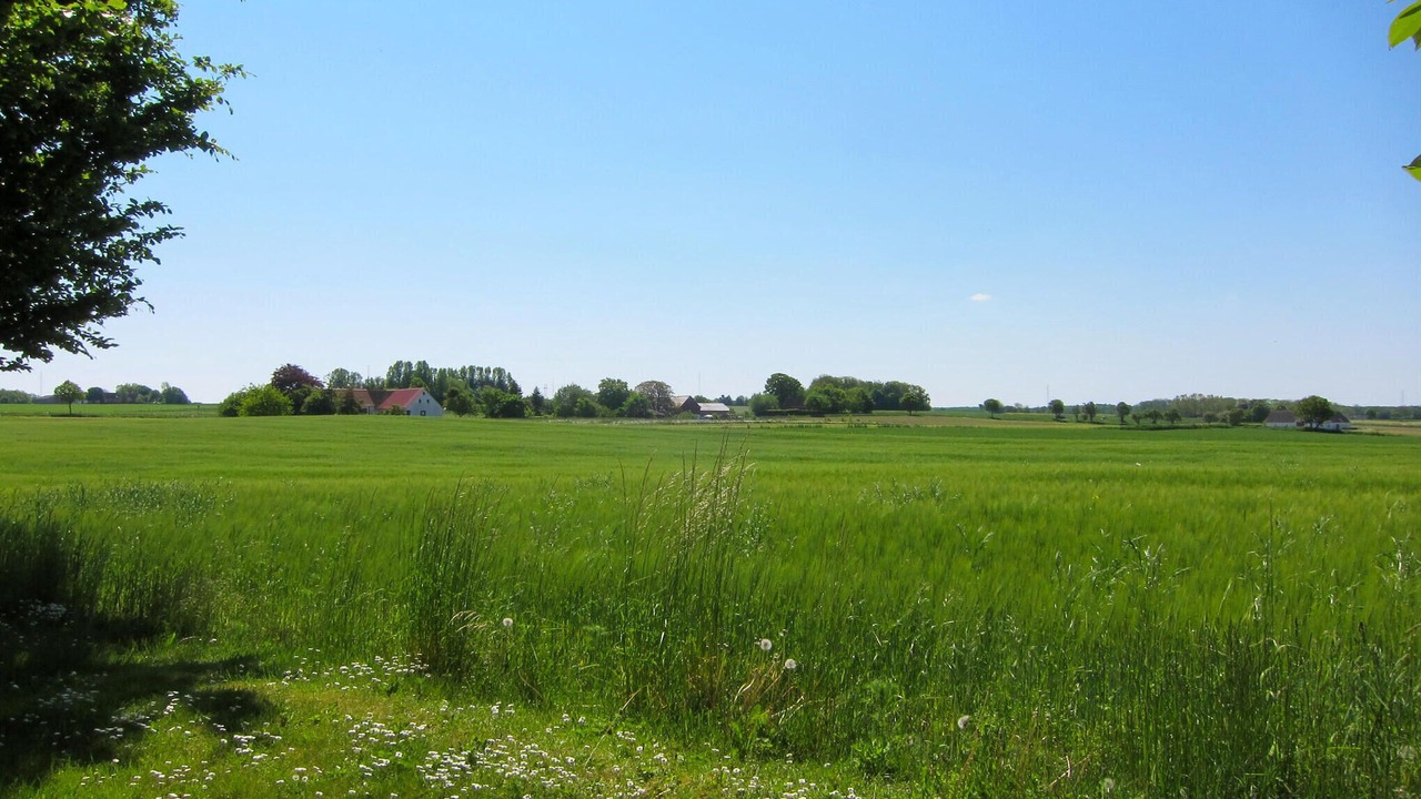 Photo of Others in Gudhjem