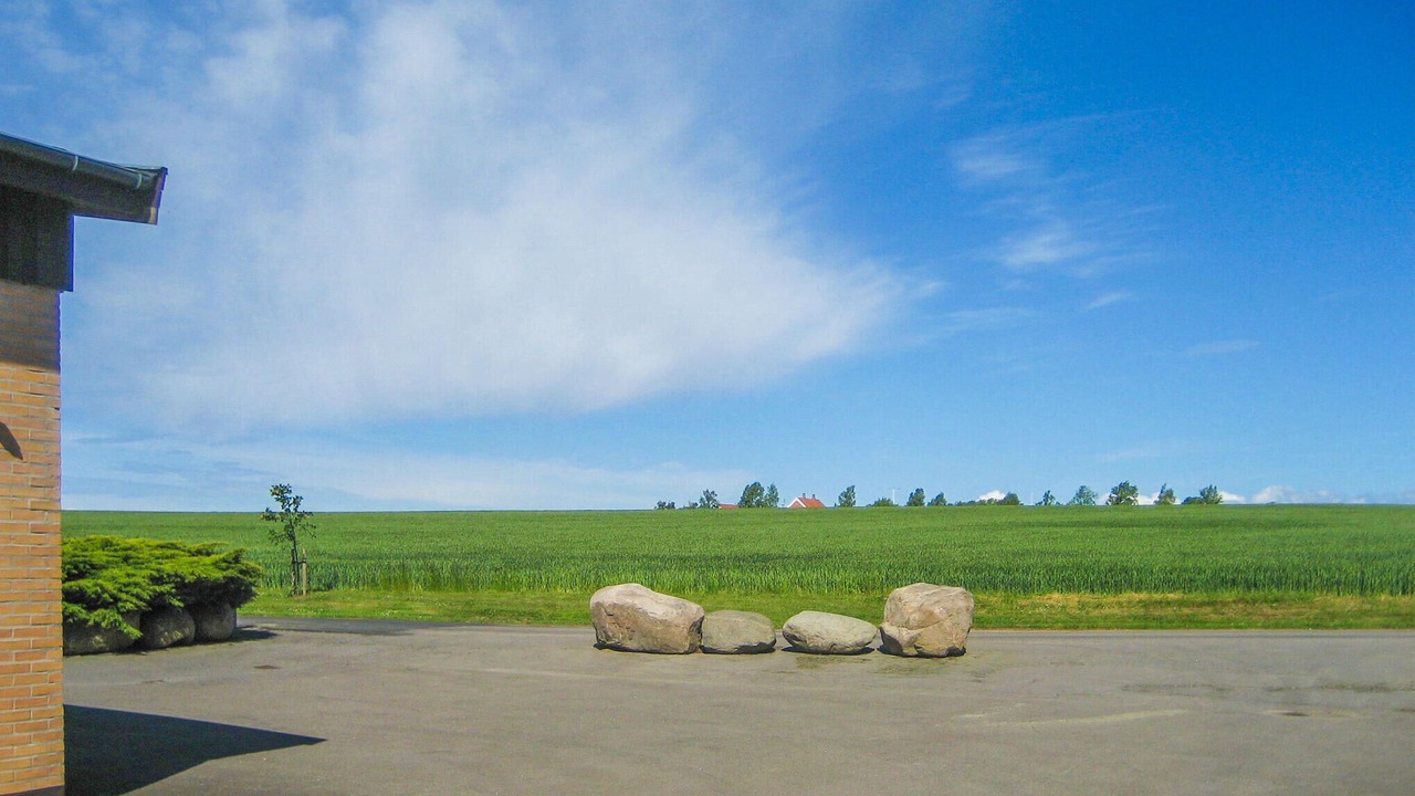 Photo of Others in Hasle