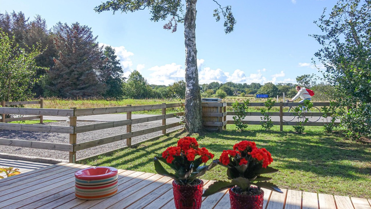 Photo of Others in Balka Strand