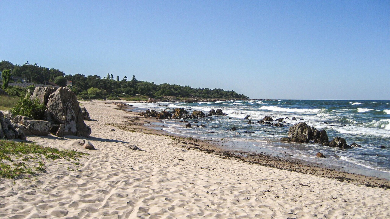 Photo of Others in Sandkaas