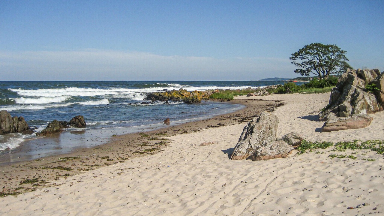 Photo of Others in Sandkaas