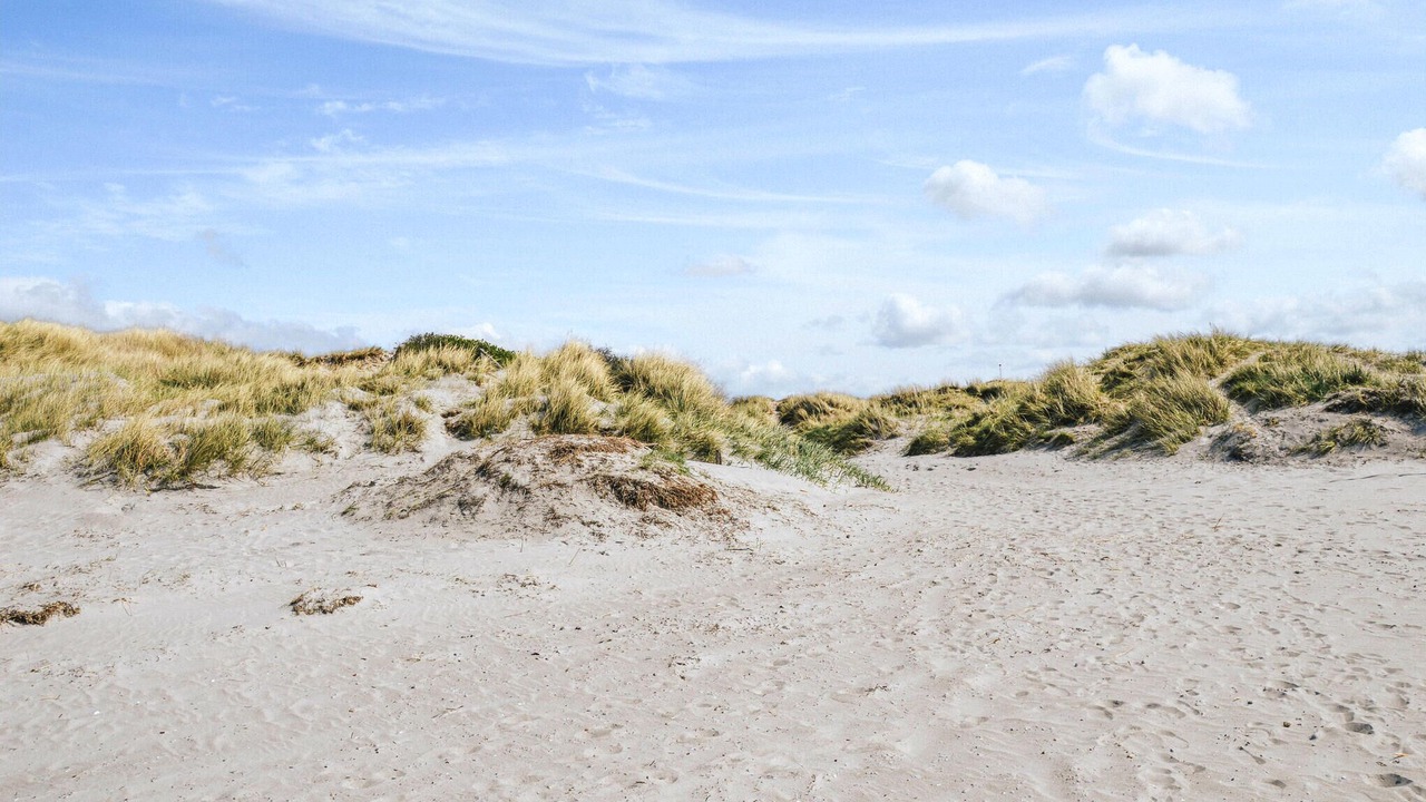 Photo of Others in Hojby