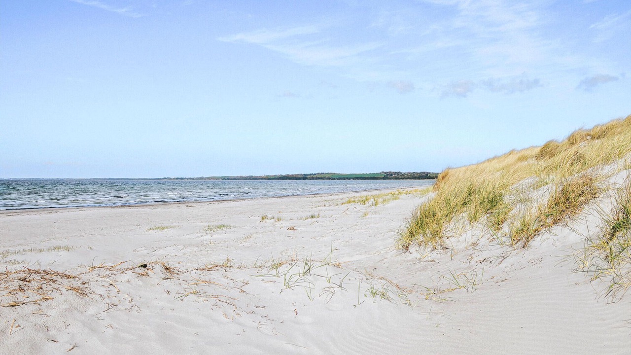 Photo of Others in Hojby