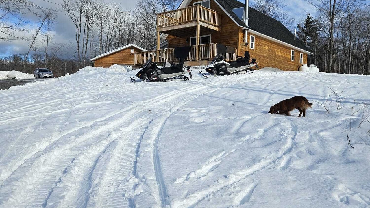 Photo of Others in Stoneham