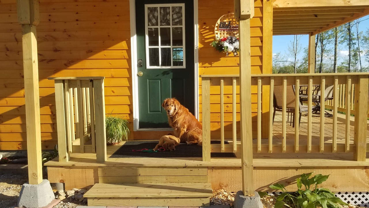 Photo of Others in Stoneham