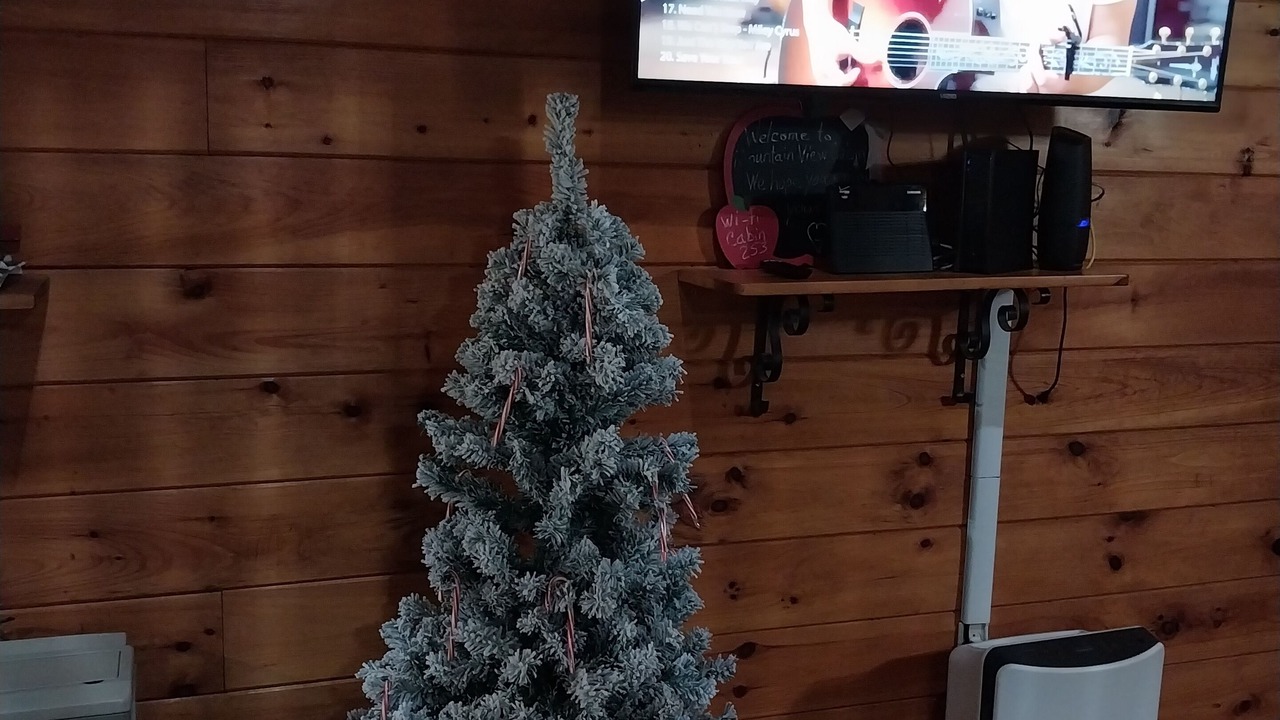 Photo of Others in Stoneham