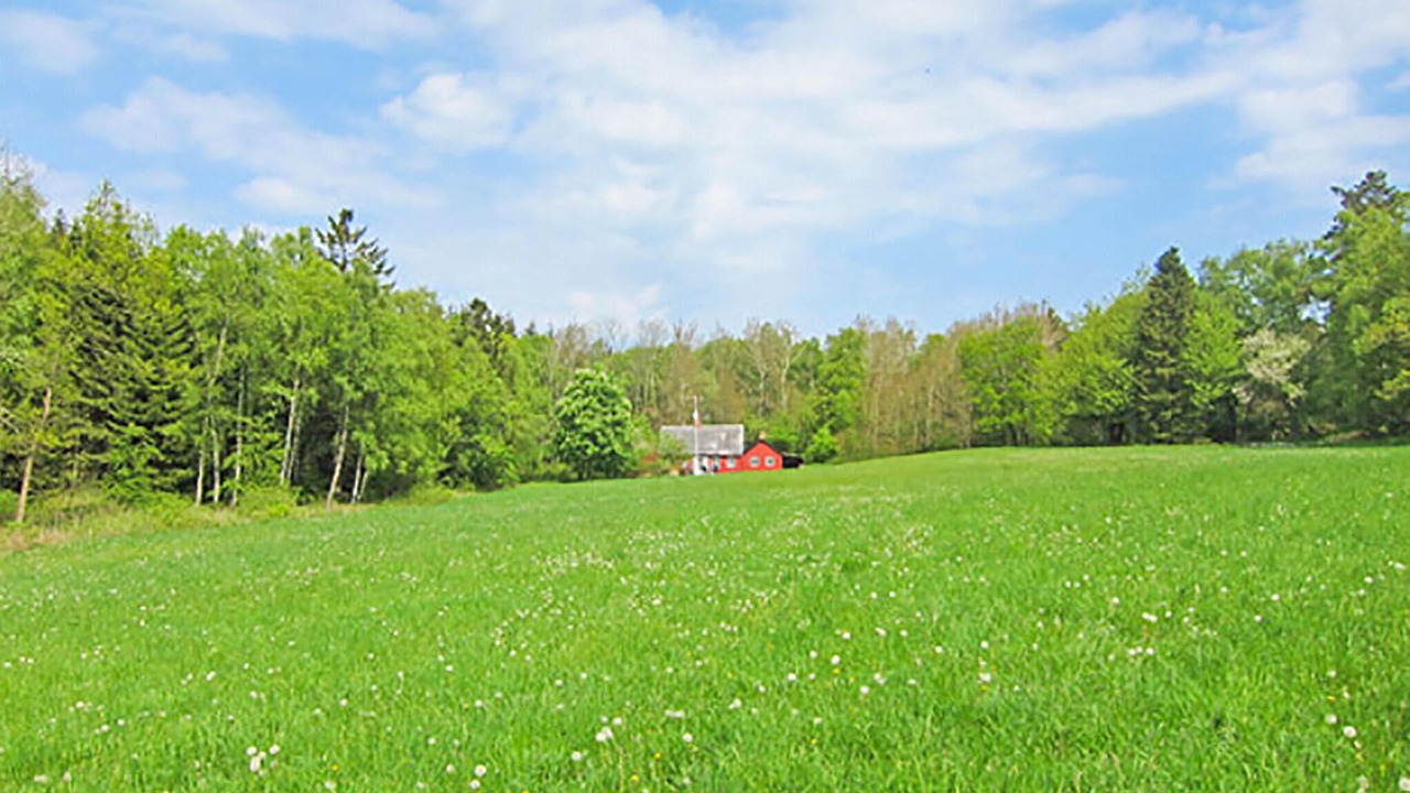 Photo of Others in Paradisbakkerne