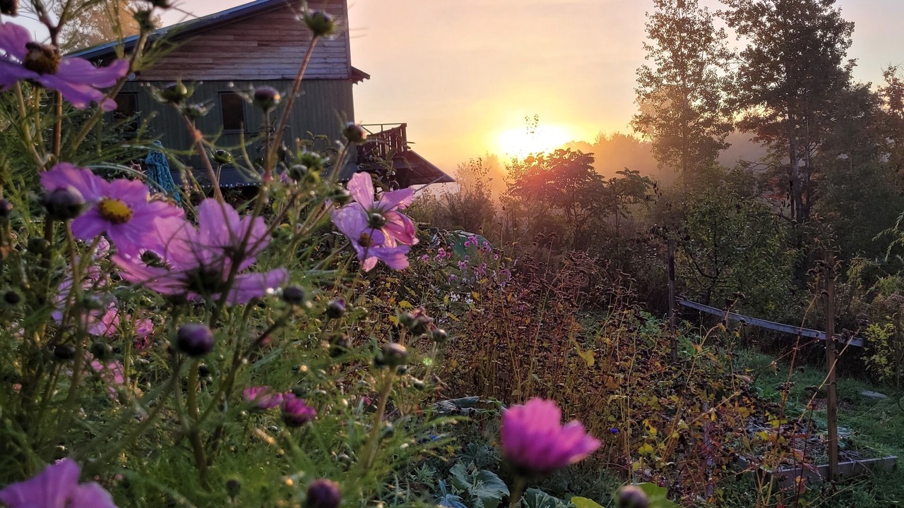Photo of Outdoor in Portneuf