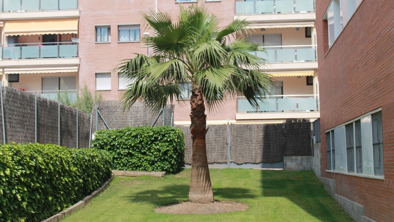 Photo of Outdoor in Lloret de Mar