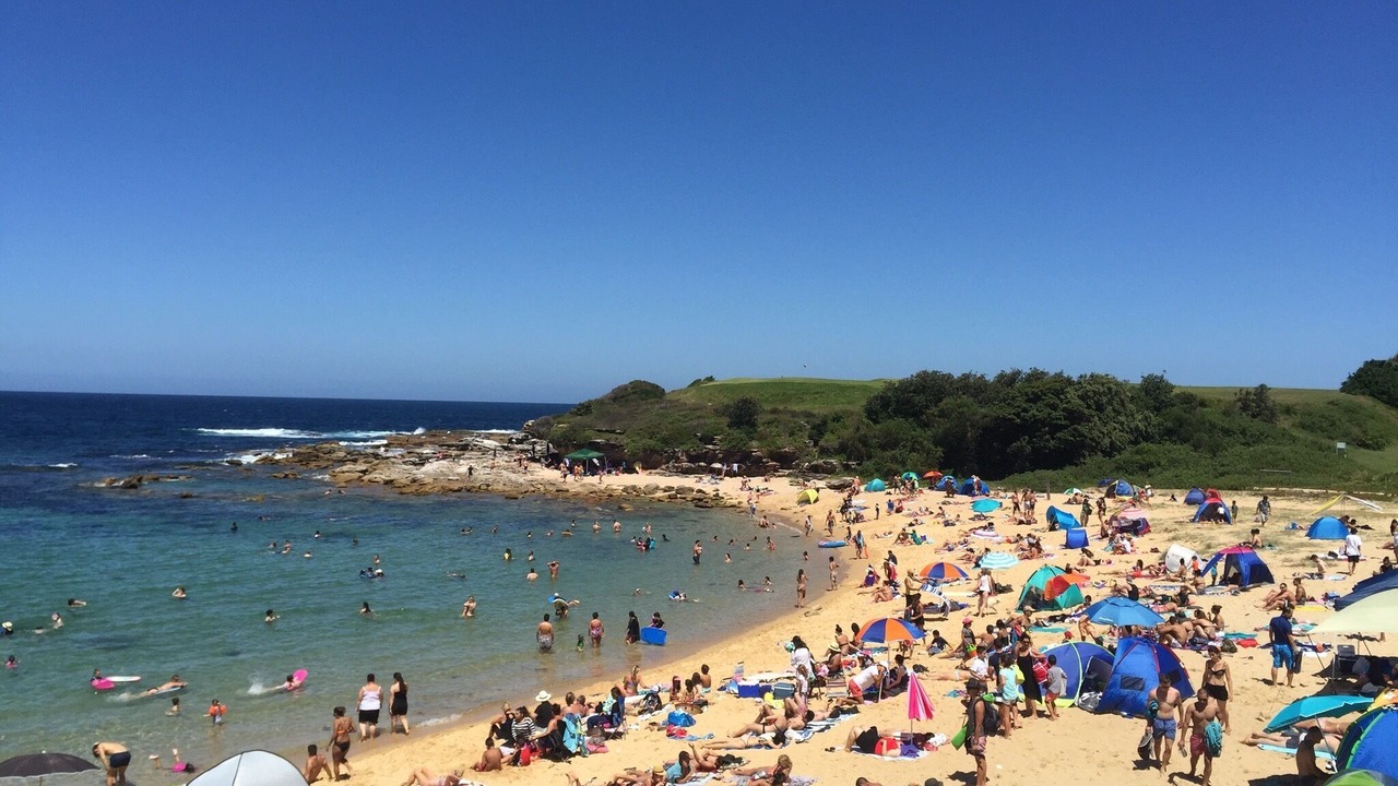 Photo of Others in Mascot