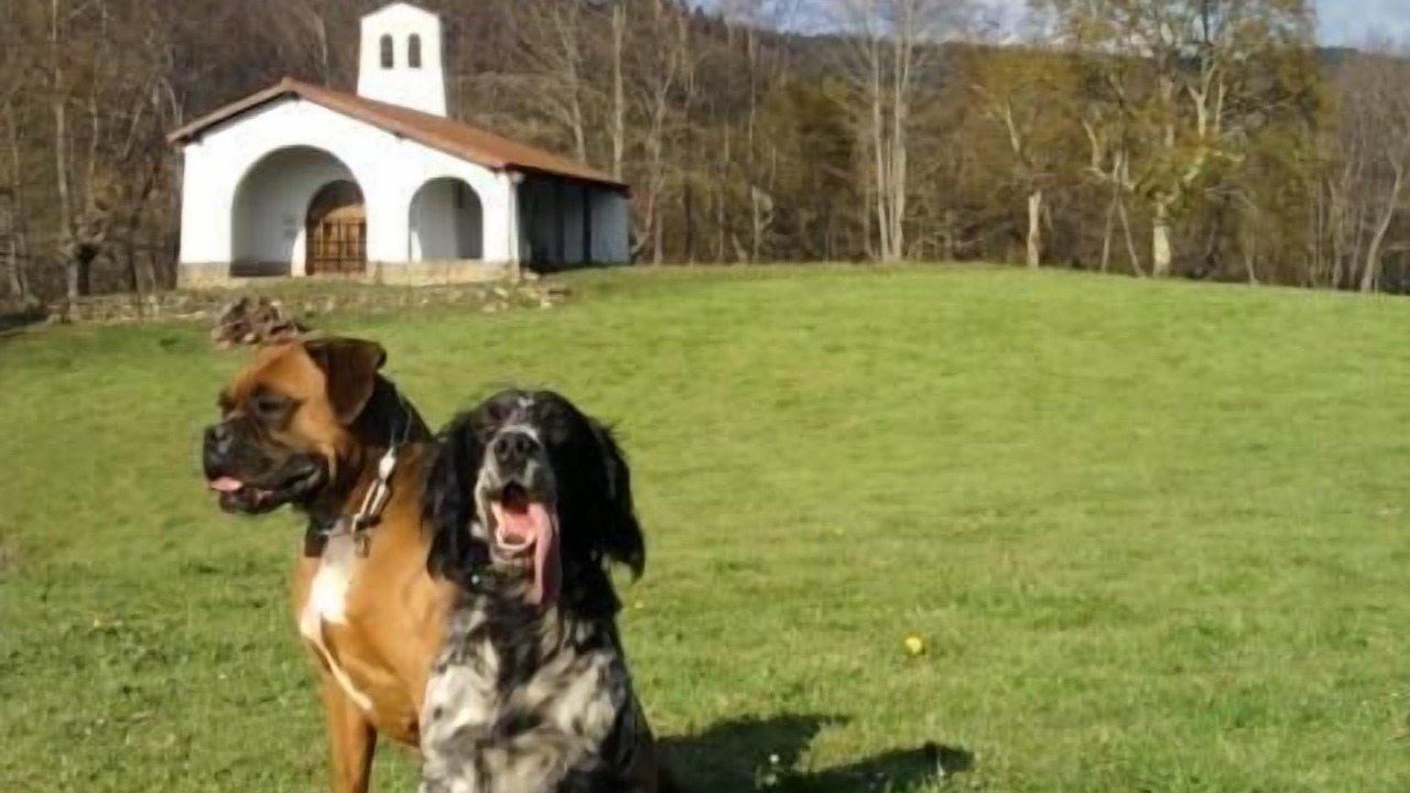 Photo of Outdoor in Berriz