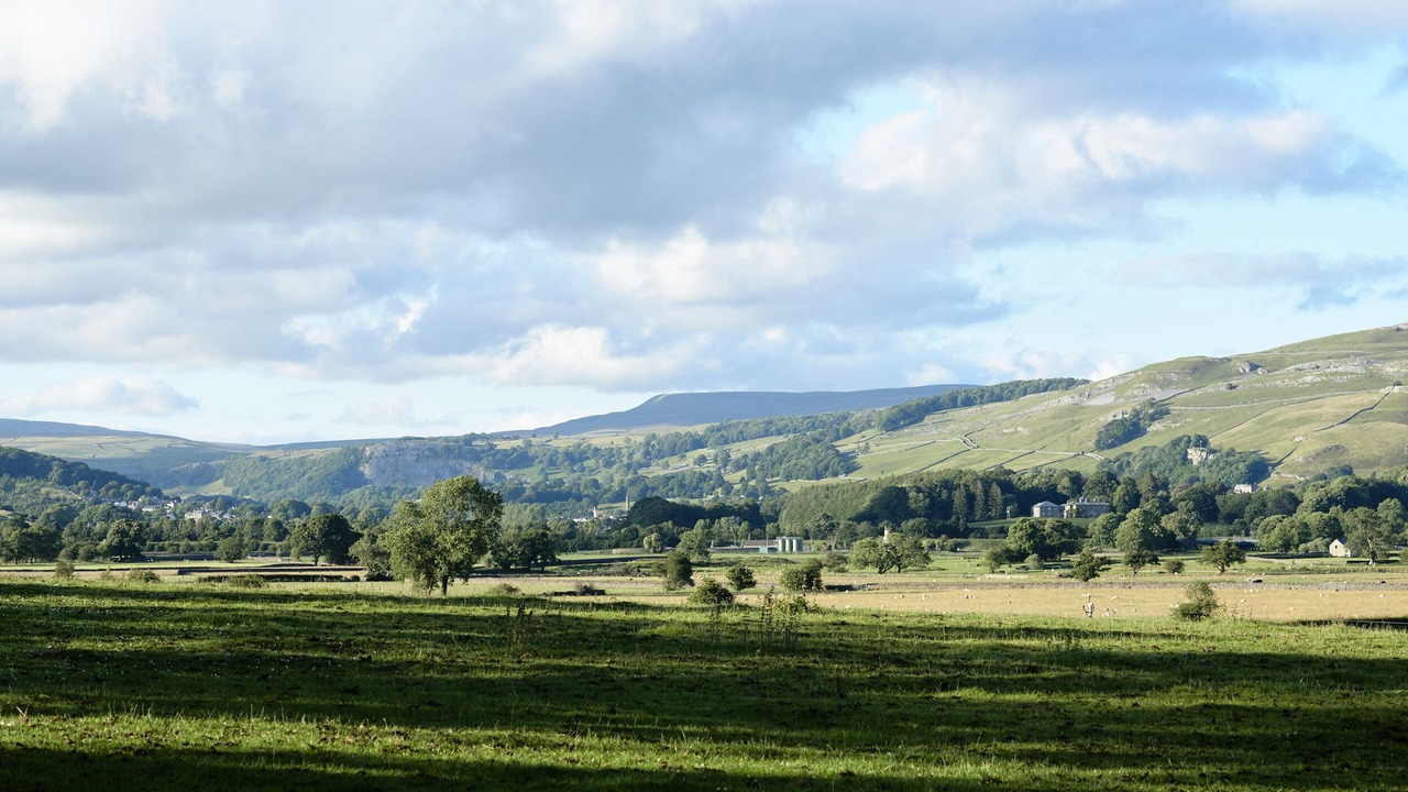 Photo of Others in Settle